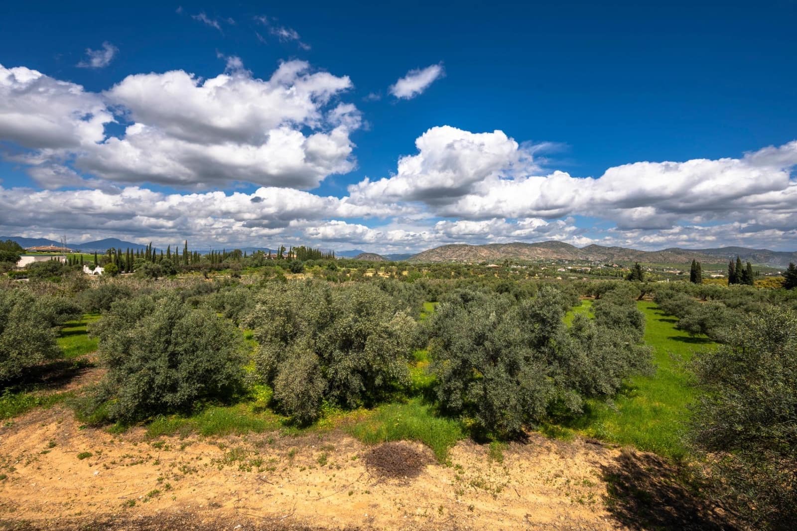 9 quarto Quinta/Casa Rural para venda em Alhaurin el Grande com piscina - 1 150 000 € (Ref: 8843409)
