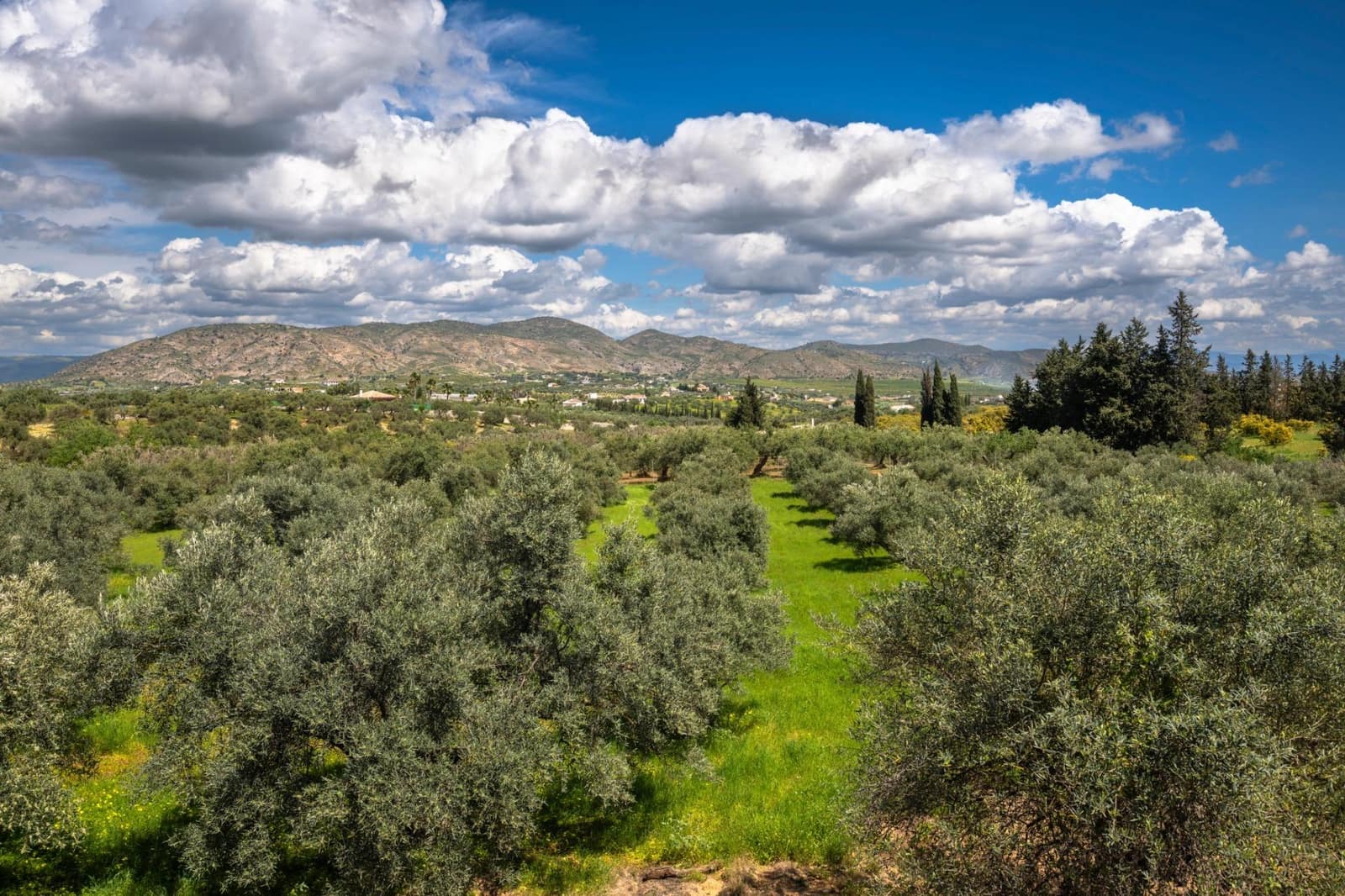 9 quarto Quinta/Casa Rural para venda em Alhaurin el Grande com piscina - 1 150 000 € (Ref: 8843409)