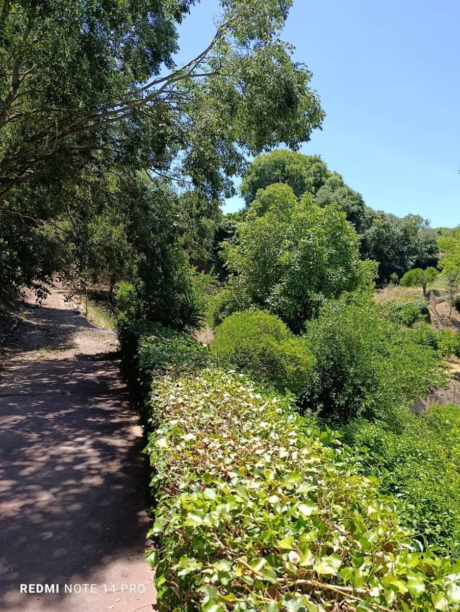 5 slaapkamer Finca/Landhuis te koop in Alhaurin el Grande met zwembad - € 495.000 (Ref: 9026786)