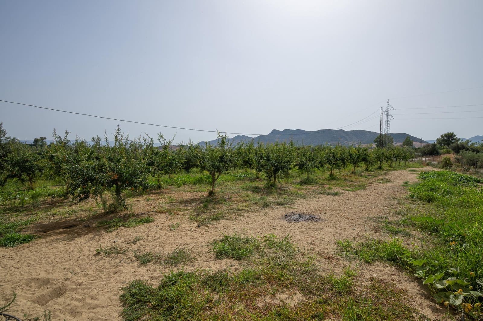 3 sypialnia Finka/Dom wiejski na sprzedaż w Cartama - 859 000 € (Ref: 9217364)