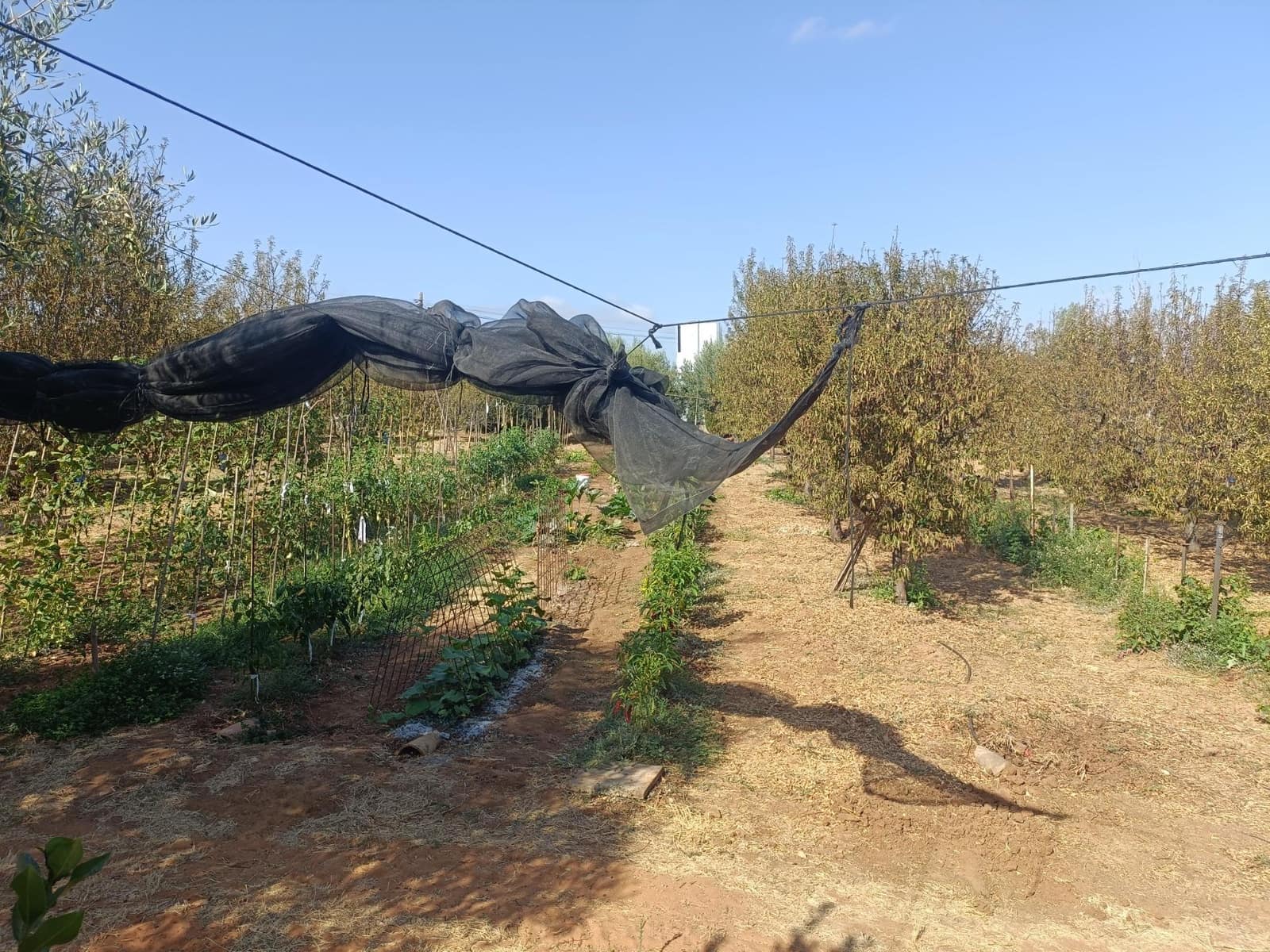 4 soverom Finca/Herregård til salgs i Alhaurin el Grande med svømmebasseng - € 765 000 (Ref: 9255283)