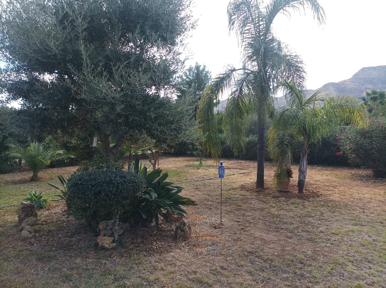 4 bedroom Finca/Country House for sale in Alhaurin el Grande with pool - € 765,000 (Ref: 9255283)