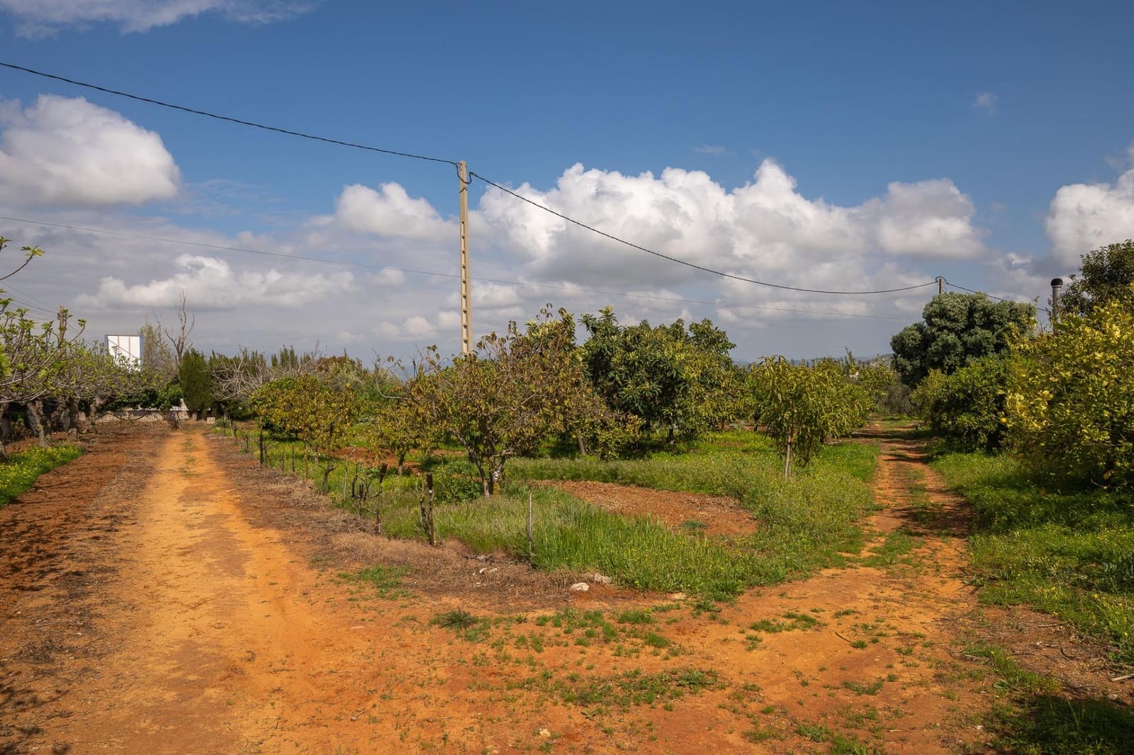 4 bedroom Finca/Country House for sale in Alhaurin el Grande with pool - € 765,000 (Ref: 9255283)