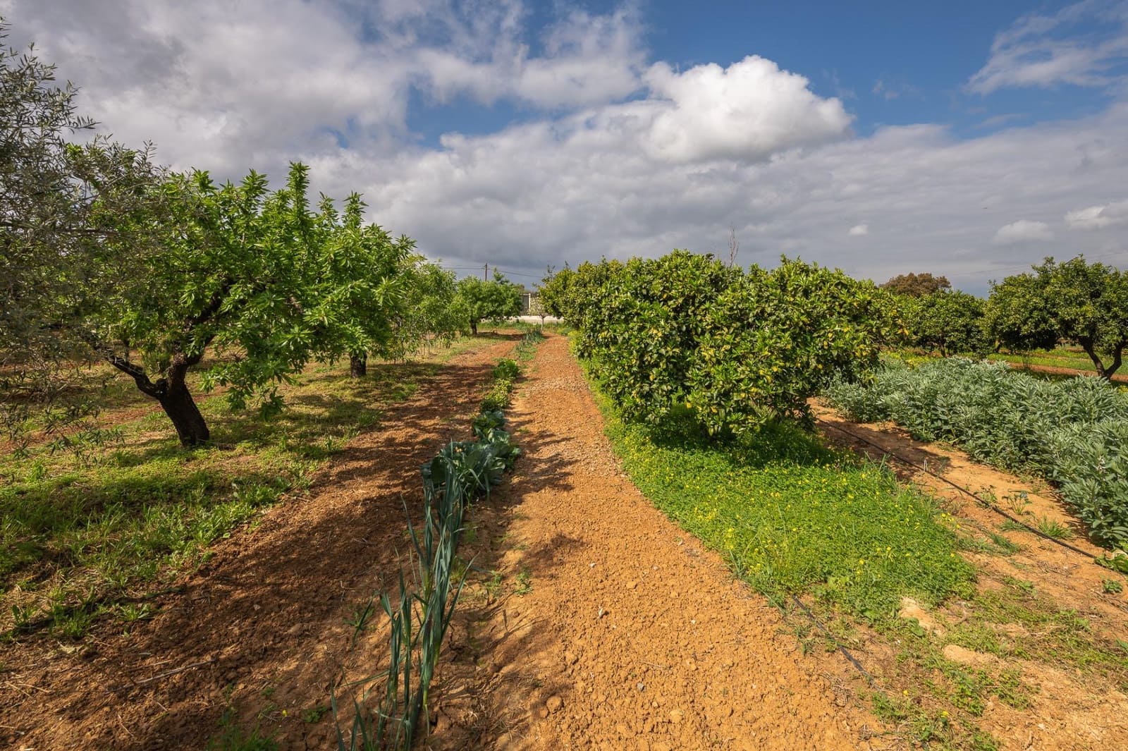 4 bedroom Finca/Country House for sale in Alhaurin el Grande with pool - € 765,000 (Ref: 9255283)