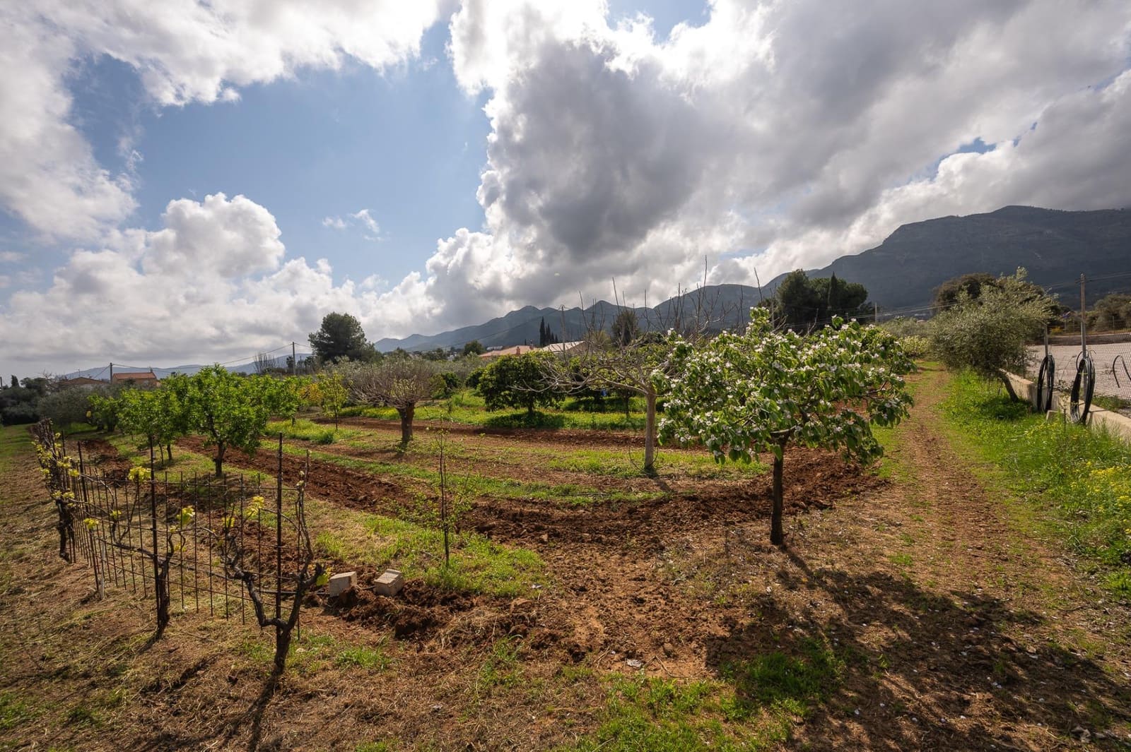 4 bedroom Finca/Country House for sale in Alhaurin el Grande with pool - € 765,000 (Ref: 9255283)
