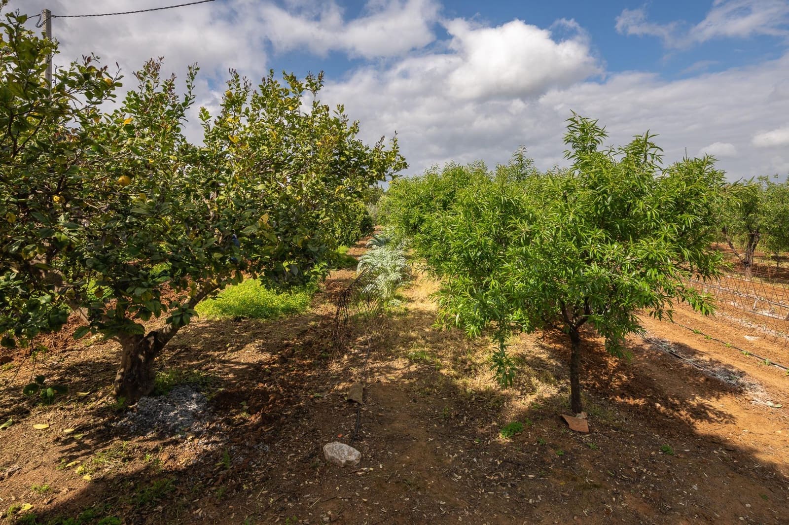4 bedroom Finca/Country House for sale in Alhaurin el Grande with pool - € 765,000 (Ref: 9255283)