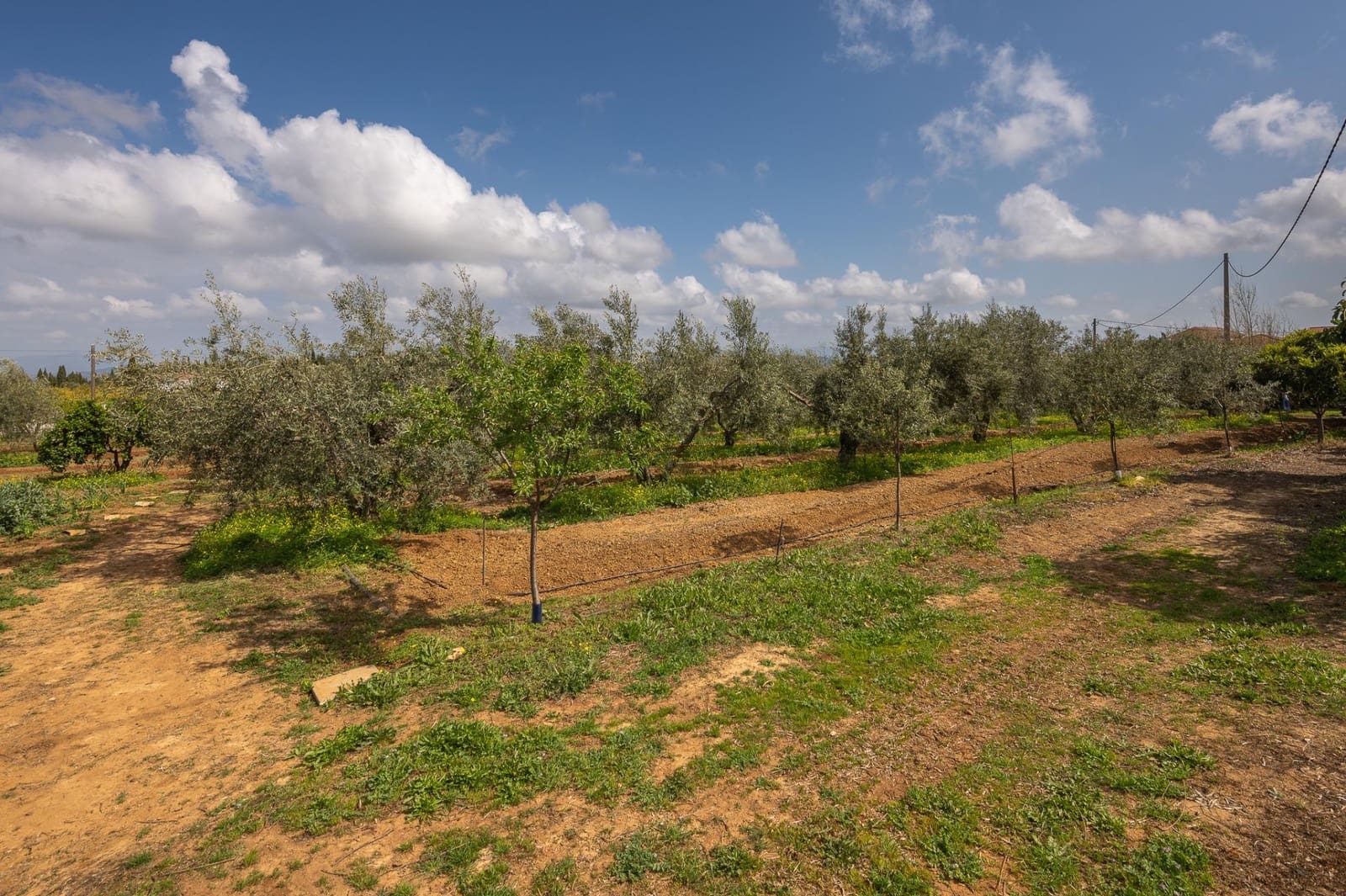 4 bedroom Finca/Country House for sale in Alhaurin el Grande with pool - € 765,000 (Ref: 9255283)