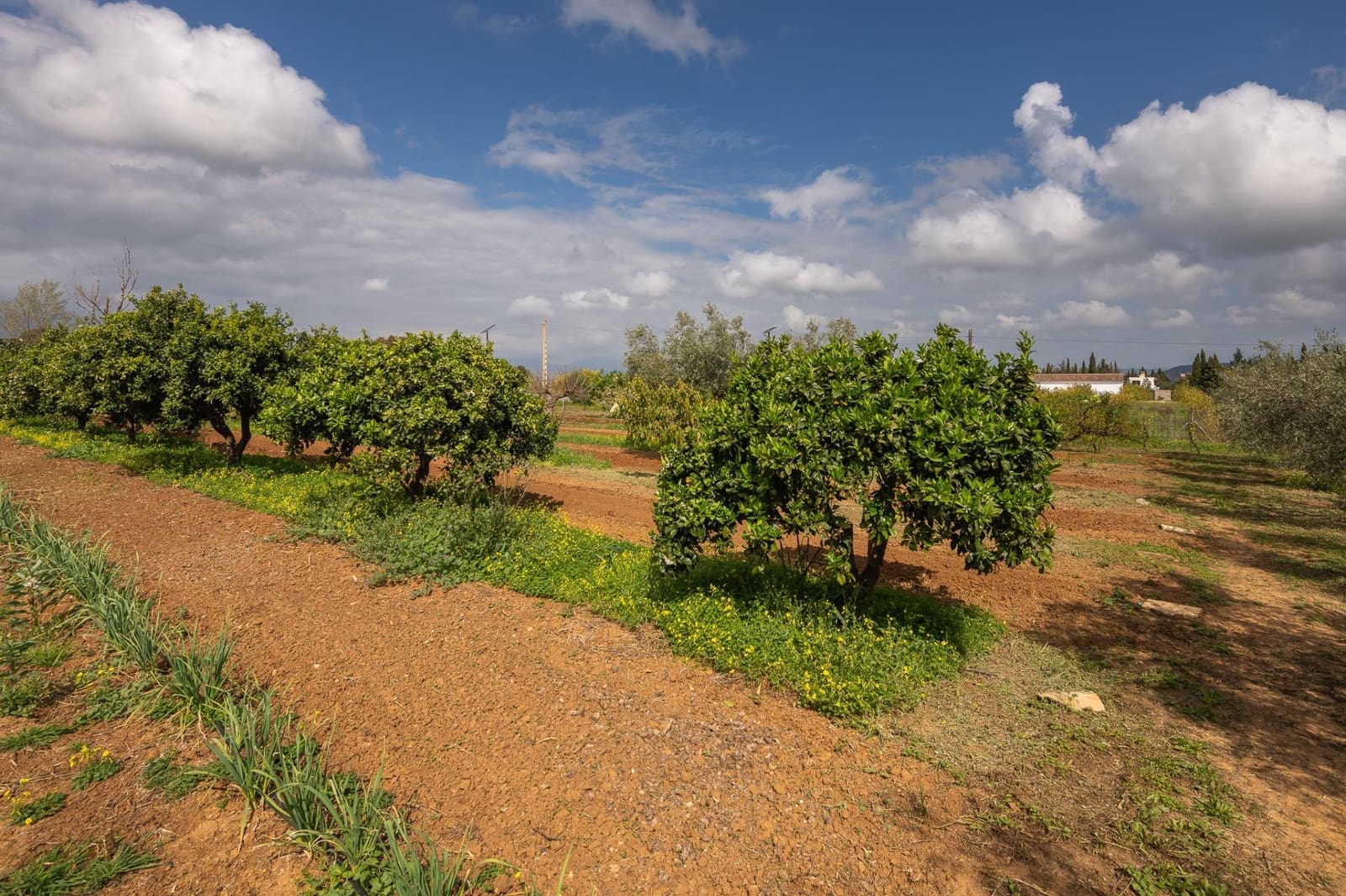 4 bedroom Finca/Country House for sale in Alhaurin el Grande with pool - € 765,000 (Ref: 9255283)