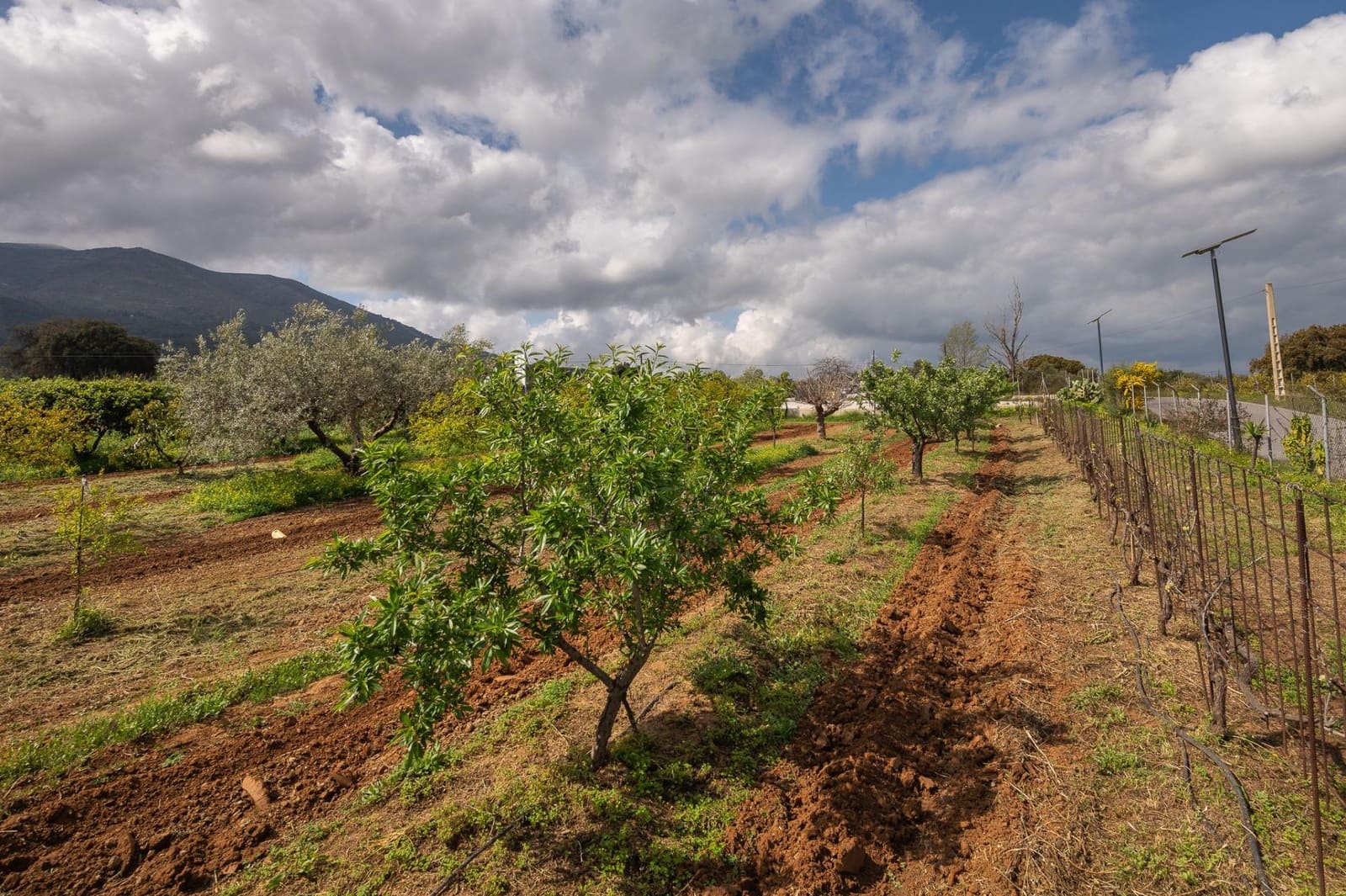 4 bedroom Finca/Country House for sale in Alhaurin el Grande with pool - € 765,000 (Ref: 9255283)