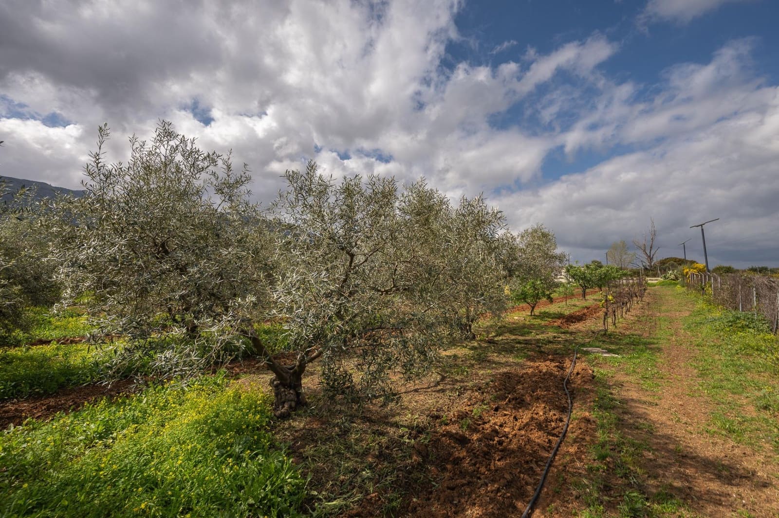 4 bedroom Finca/Country House for sale in Alhaurin el Grande with pool - € 765,000 (Ref: 9255283)