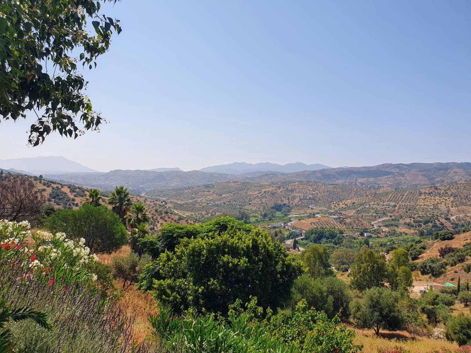 3 soverom Finca/Herregård til salgs i Tolox - € 375 000 (Ref: 9387916)