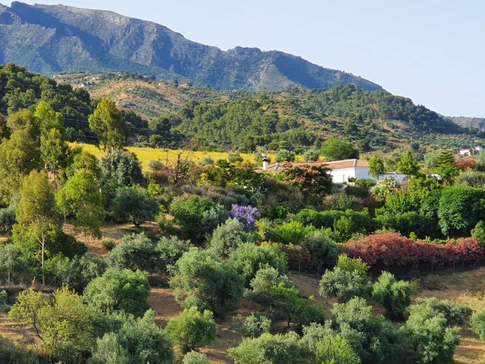 3 soverom Finca/Herregård til salgs i Tolox - € 375 000 (Ref: 9387916)