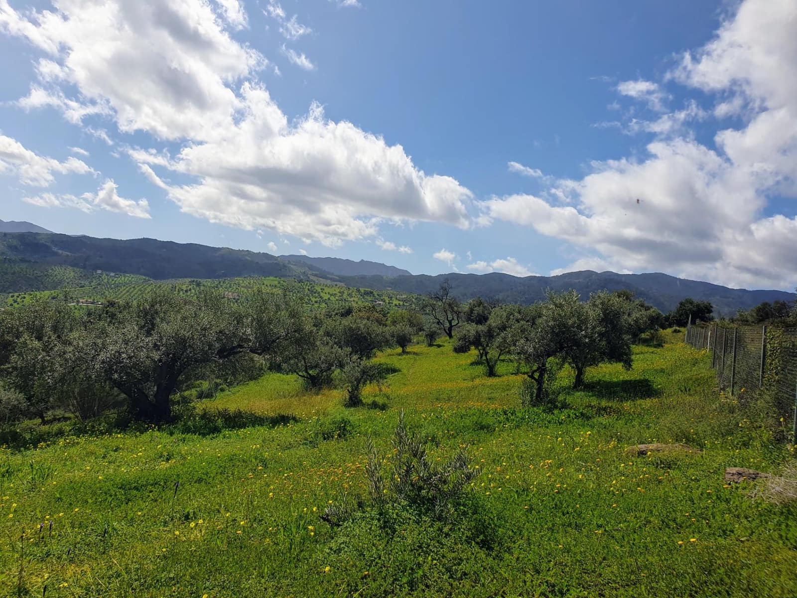 3 soverom Finca/Herregård til salgs i Tolox - € 375 000 (Ref: 9387916)