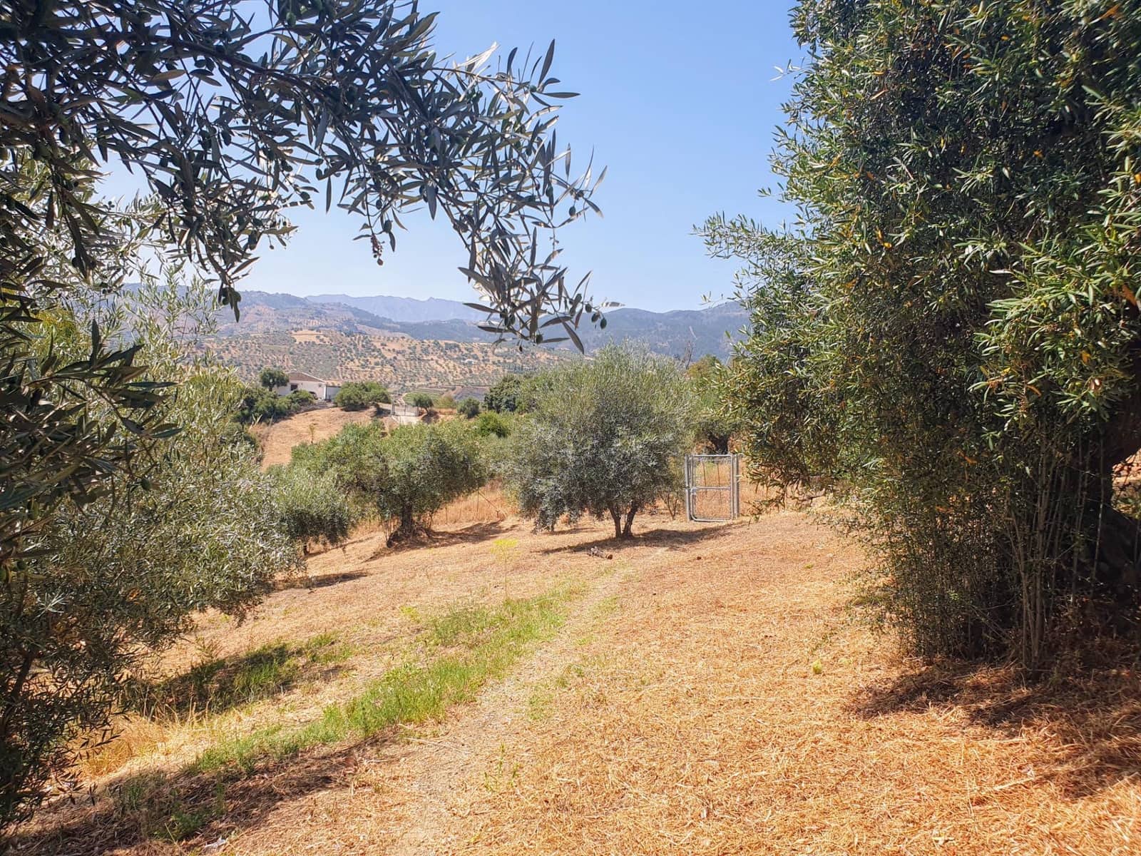 3 soverom Finca/Herregård til salgs i Tolox - € 375 000 (Ref: 9387916)