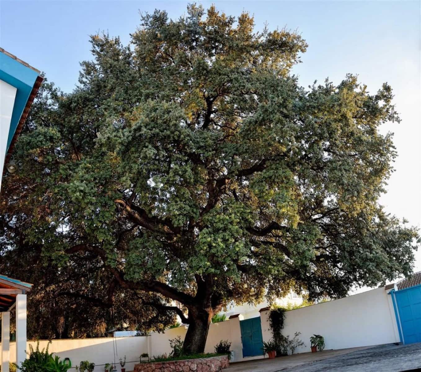 4 sovrum Villa till salu i Alhaurin el Grande med pool - 645 000 € (Ref: 9783003)