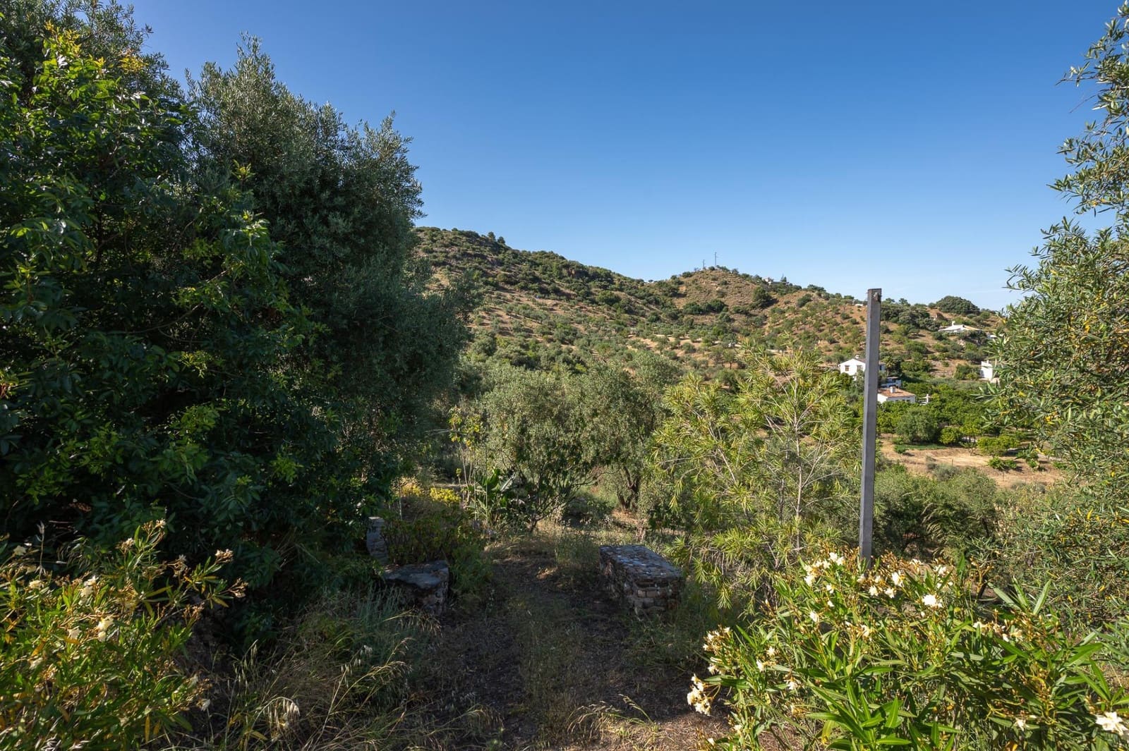 3 soveværelse Finca/Landehus til salg i Monda med swimmingpool garage - € 478.000 (Ref: 9888123)