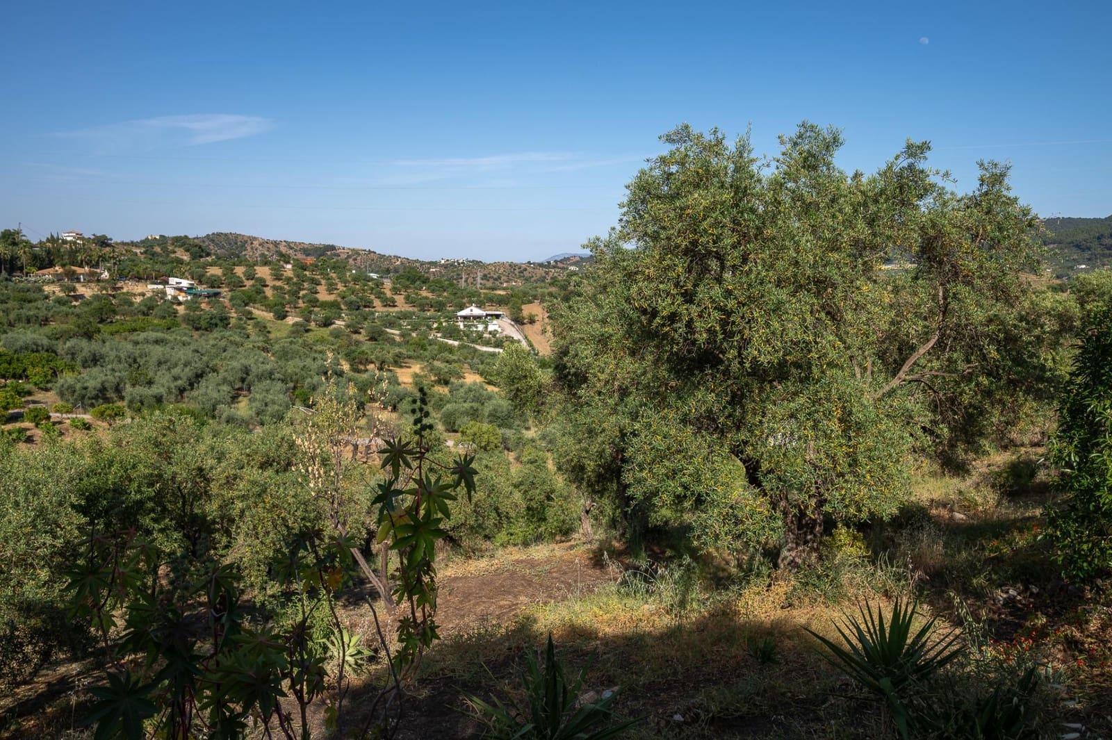 3 soveværelse Finca/Landehus til salg i Monda med swimmingpool garage - € 478.000 (Ref: 9888123)