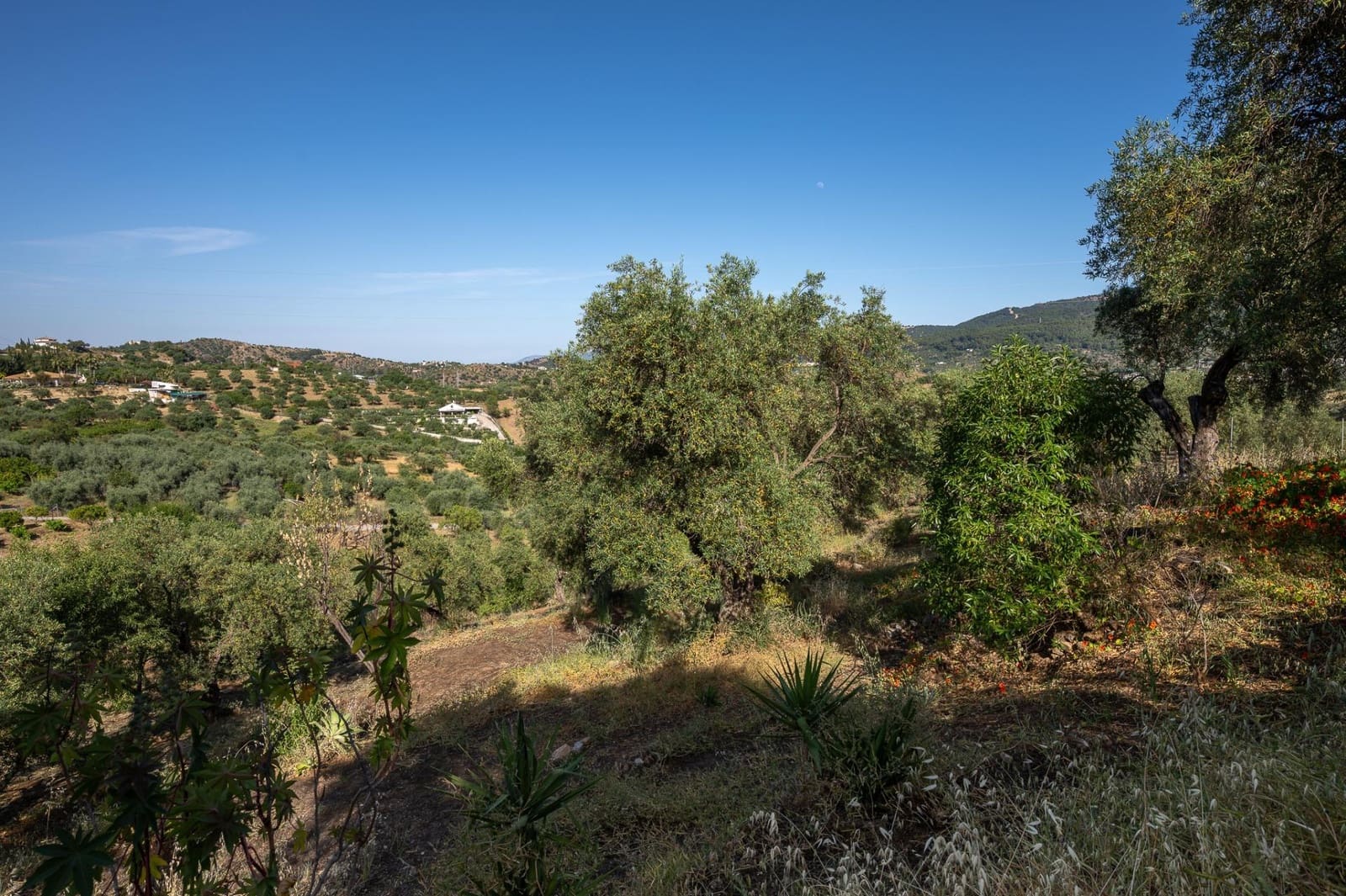 3 soveværelse Finca/Landehus til salg i Monda med swimmingpool garage - € 478.000 (Ref: 9888123)