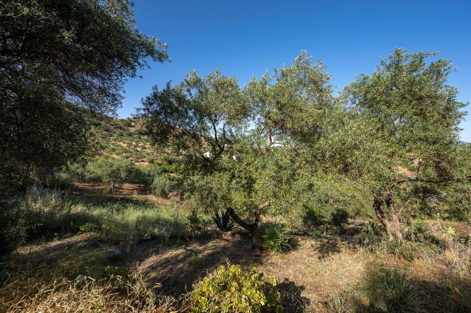 3 soveværelse Finca/Landehus til salg i Monda med swimmingpool garage - € 478.000 (Ref: 9888123)