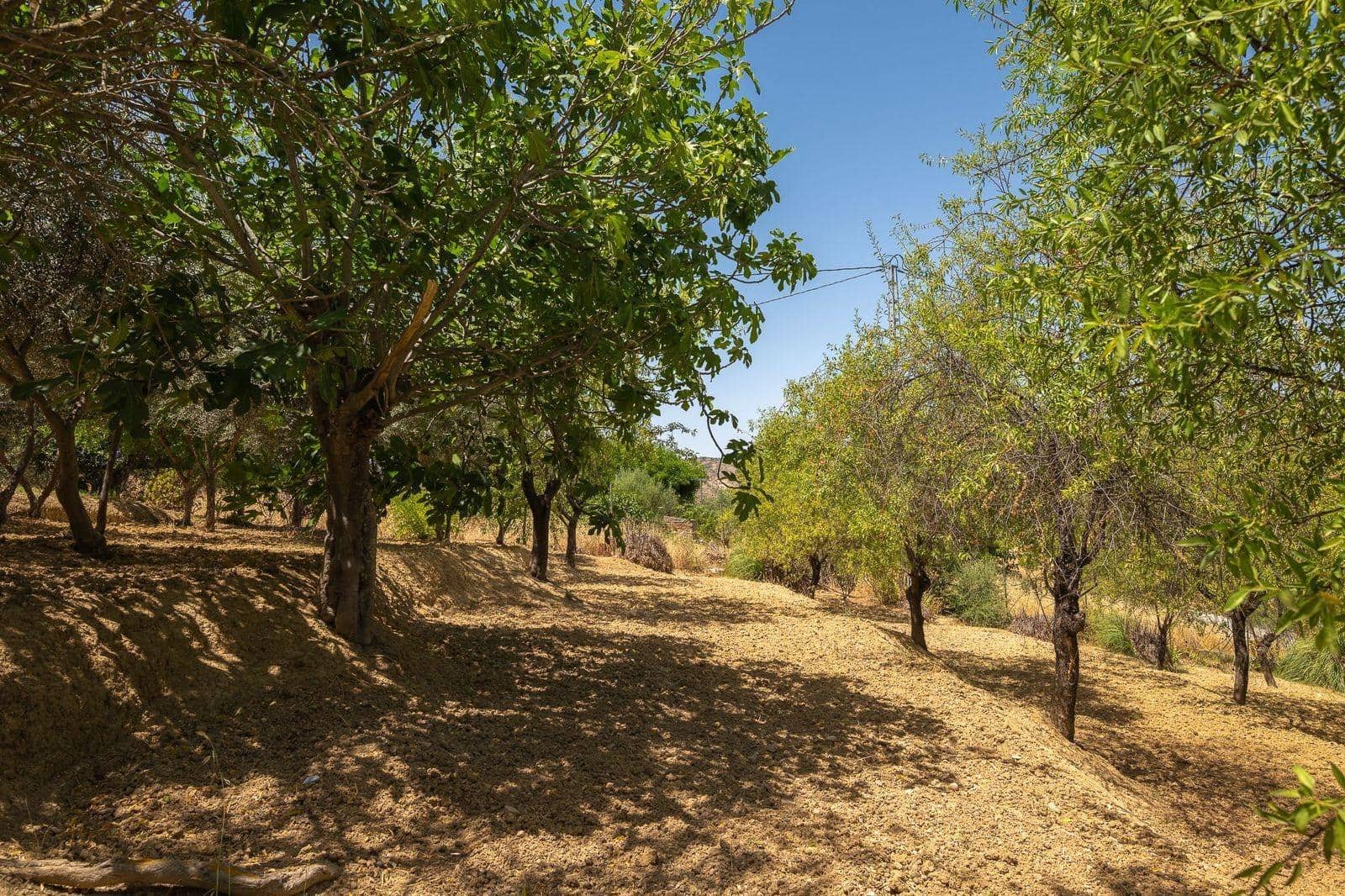 3 soveværelse Finca/Landehus til salg i Alhaurin el Grande med swimmingpool - € 590.000 (Ref: 9929407)