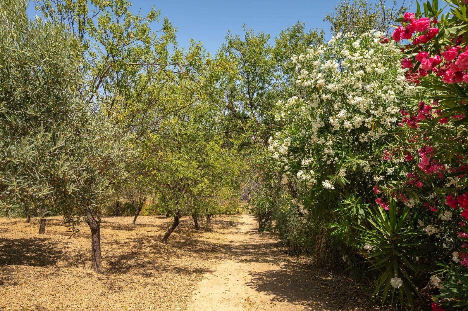 3 soveværelse Finca/Landehus til salg i Alhaurin el Grande med swimmingpool - € 590.000 (Ref: 9929407)