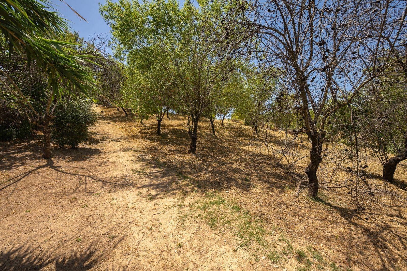 3 soveværelse Finca/Landehus til salg i Alhaurin el Grande med swimmingpool - € 590.000 (Ref: 9929407)