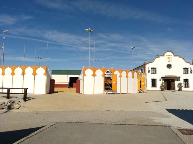 Chalet de 12 habitaciones en Málaga ciudad en venta con piscina garaje - 5.500.000 € (Ref: 9234901)