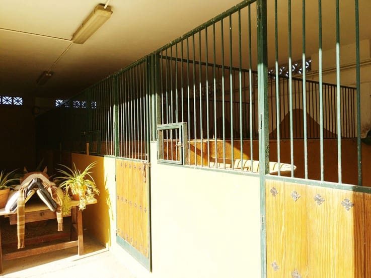 Chalet de 12 habitaciones en Málaga ciudad en venta con piscina garaje - 5.500.000 € (Ref: 9234901)