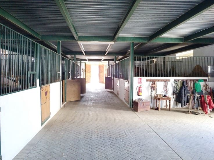 Chalet de 12 habitaciones en Málaga ciudad en venta con piscina garaje - 5.500.000 € (Ref: 9234901)