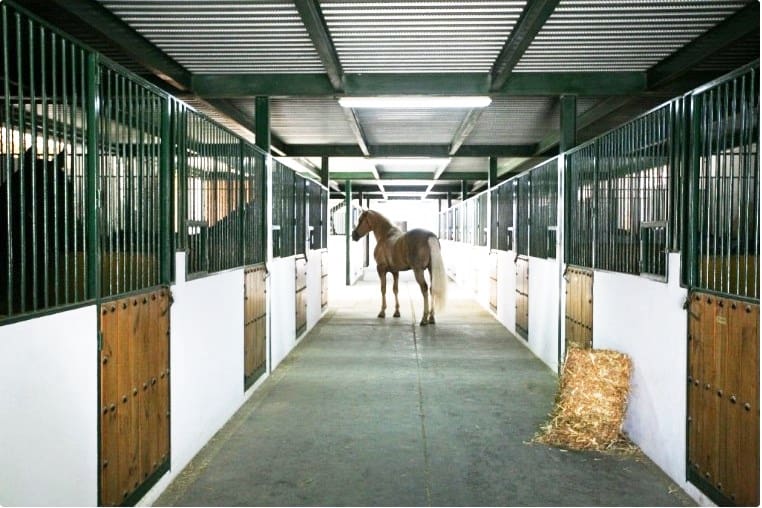 Chalet de 12 habitaciones en Málaga ciudad en venta con piscina garaje - 5.500.000 € (Ref: 9234901)