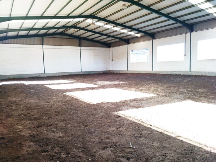 Chalet de 12 habitaciones en Málaga ciudad en venta con piscina garaje - 5.500.000 € (Ref: 9234901)