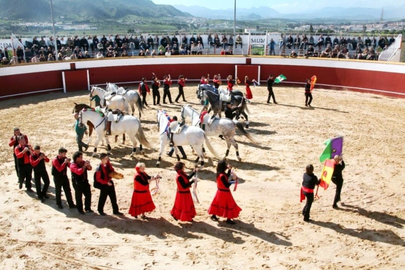 Chalet de 12 habitaciones en Málaga ciudad en venta con piscina garaje - 5.500.000 € (Ref: 9234901)