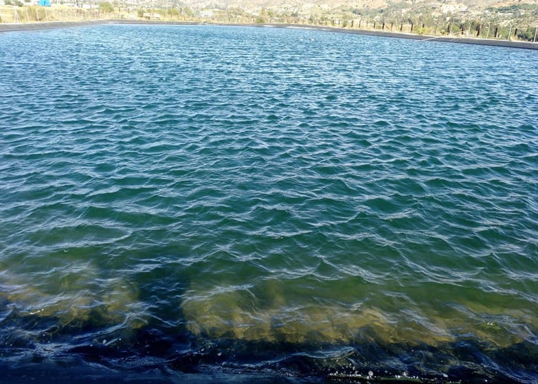 Chalet de 12 habitaciones en Málaga ciudad en venta con piscina garaje - 5.500.000 € (Ref: 9234901)