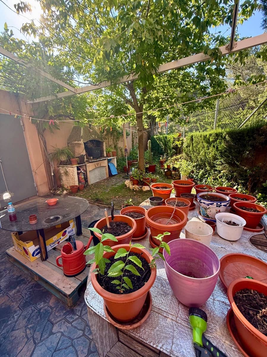 3 soverom Bungalow til salgs i Villena med garasje - € 195 000 (Ref: 10034895)