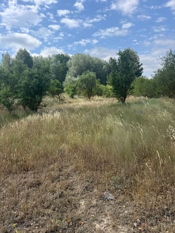 Terreno/Finca Rústica en Biar en venta - 46.000 € (Ref: 10036352)