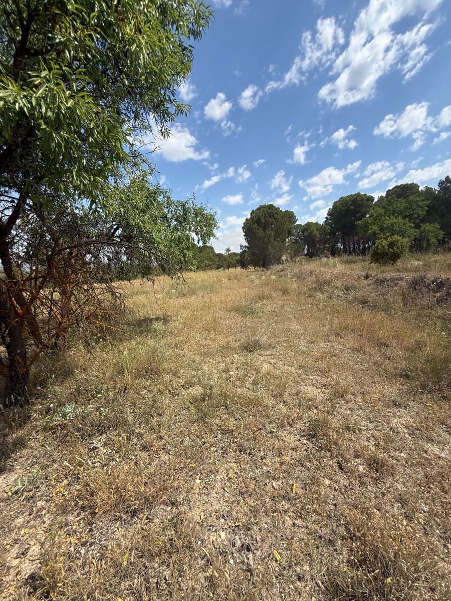 Terreno/Finca Rústica en Biar en venta - 46.000 € (Ref: 10036352)