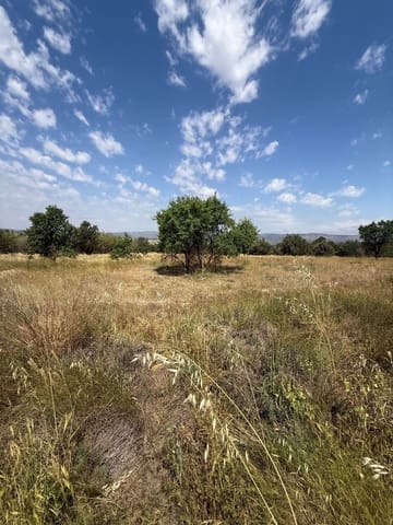 Terreno/Finca Rústica en Biar en venta - 46.000 € (Ref: 10036352)