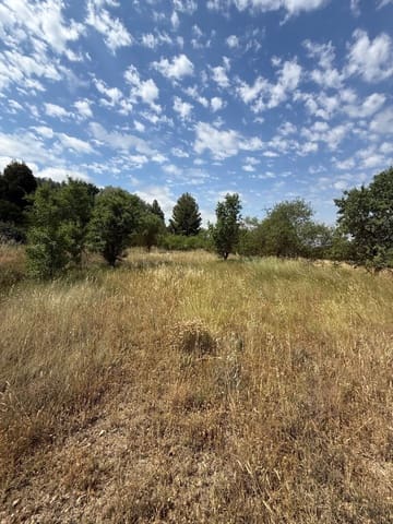 Terreno/Finca Rústica en Biar en venta - 46.000 € (Ref: 10036352)