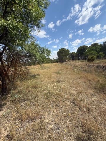 Terreno/Finca Rústica en Biar en venta - 46.000 € (Ref: 10036352)