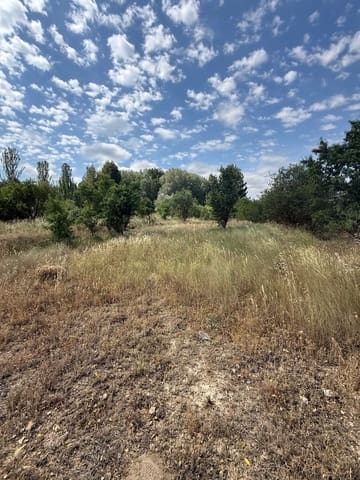 Terreno/Finca Rústica en Biar en venta - 46.000 € (Ref: 10036352)