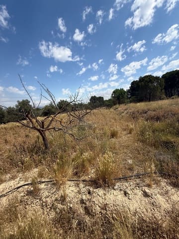 Terreno/Finca Rústica en Biar en venta - 46.000 € (Ref: 10036352)