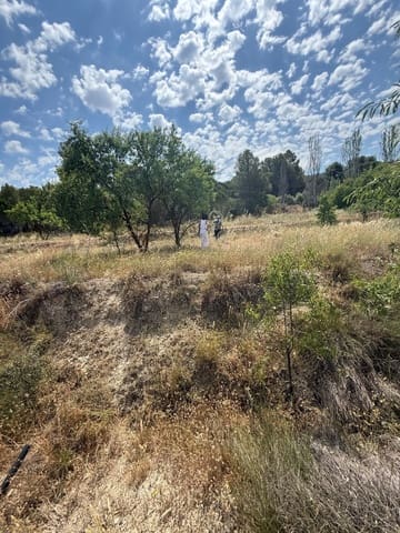 Terreno/Finca Rústica en Biar en venta - 46.000 € (Ref: 10036352)