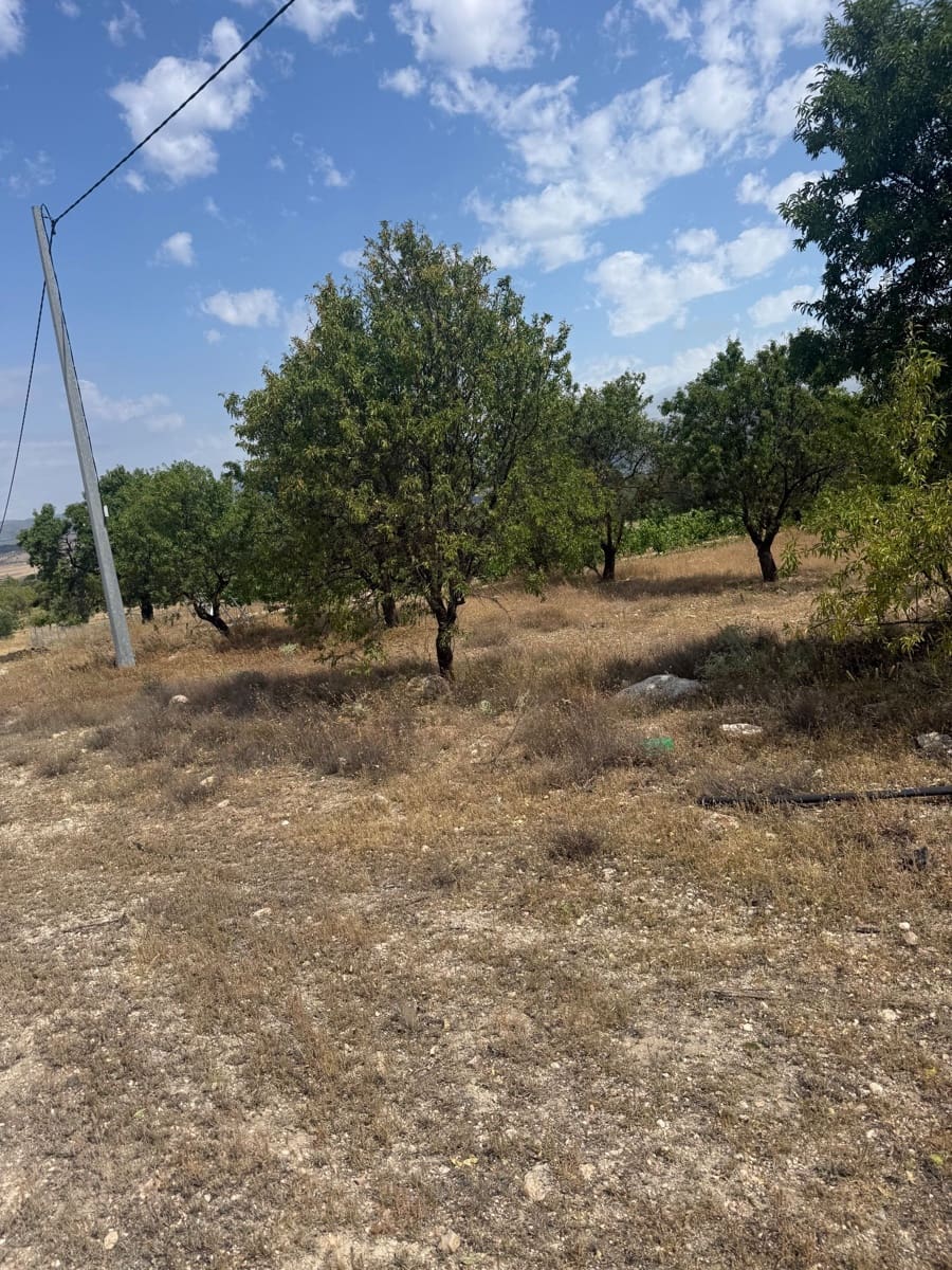 Ubebygd land til salgs i Biar - € 46 000 (Ref: 10036353)