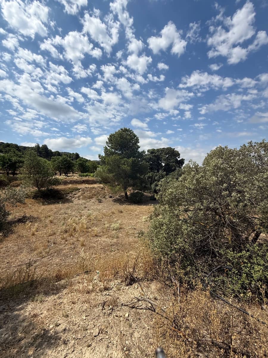 Ubebygd land til salgs i Biar - € 46 000 (Ref: 10036353)