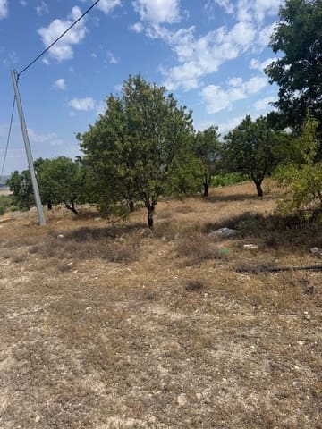 Terreno/Finca Rústica en Biar en venta - 46.000 € (Ref: 10036353)