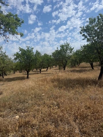 Terreno/Finca Rústica en Biar en venta - 46.000 € (Ref: 10036353)