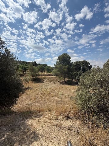 Terreno/Finca Rústica en Biar en venta - 46.000 € (Ref: 10036353)