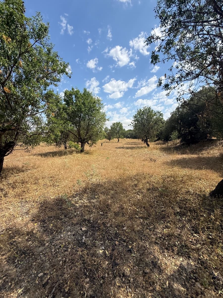 Ubebygd land til salgs i Biar - € 46 000 (Ref: 10036353)