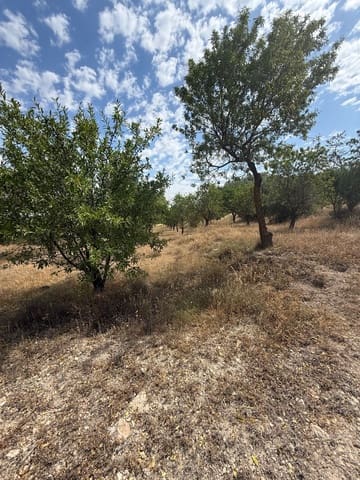 Terreno/Finca Rústica en Biar en venta - 46.000 € (Ref: 10036353)