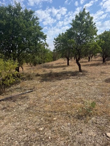 Terreno/Finca Rústica en Biar en venta - 46.000 € (Ref: 10036353)